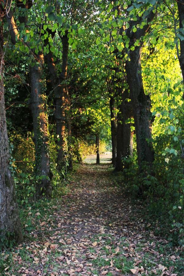 Domaine Des Lilas Saint-Germain-Lembron Экстерьер фото