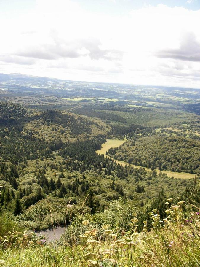 Domaine Des Lilas Saint-Germain-Lembron Экстерьер фото